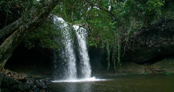 Rainforest With Killen Waterfalls Cascading Over Ledge Near Bryon Bay, New South Wales, Australia. S alt