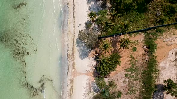 Aerial top down of man walking on palm tree lined white sand beach. Sao Beach, Phu Quoc, Vietnam alt