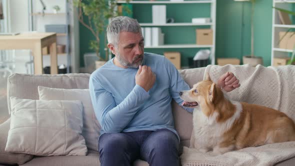 Sad Elderly Man Stroking His Dog While Sitting on the Couch Feeling Lonely alt