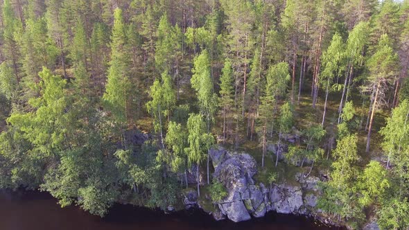 Stunningly beautiful untouched coniferous forest in borealis wilderness. Steep ice age molded rocky alt