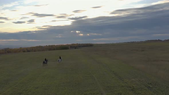 Two Riders Gallop Across the Field. Aerial Shot