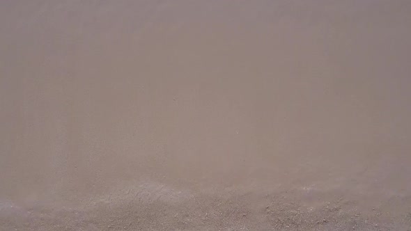 Aerial drone travel of marine shore beach by blue water and sand background alt