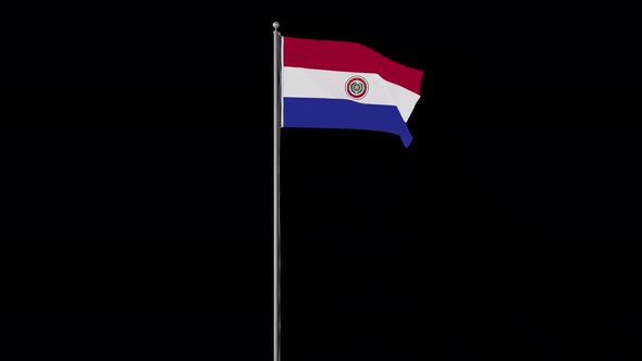 Paraguay Flag Pole Loops With Alpha
