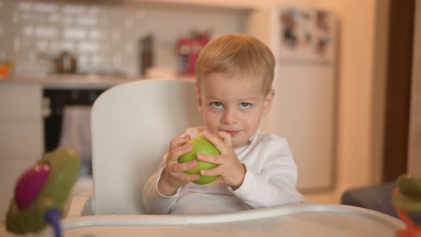 Little Happy Cute Baby Toddler Boy Blonde Sitting on Baby Chair Playing with Apple