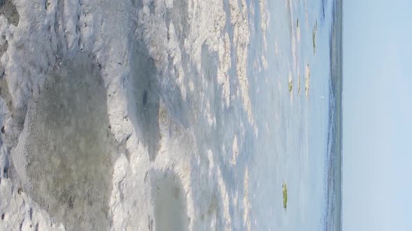 Vertical Video of Low Tide in the Ocean Near the Coast of Zanzibar Tanzania Aerial View alt