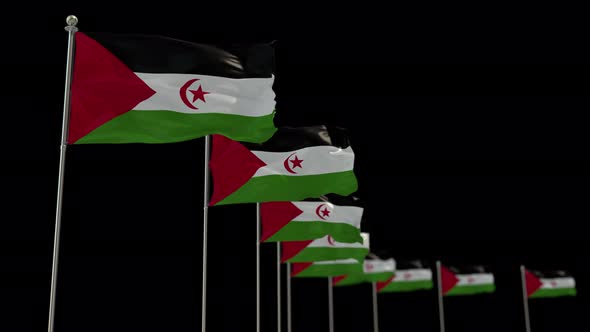 Western Sahara Row Of Flags Animation Include Alpha Channel alt