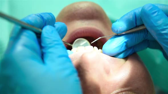 Dentist Examining Patient alt