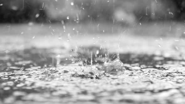 Close up view of rain drops on water in slow motion alt