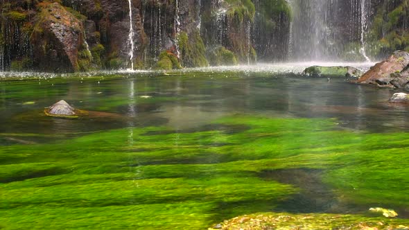 Scenic Nature of Beautiful Waterfall and Pool of Fresh Water with Green Seaplant