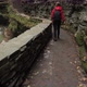 Female Tourist Walking Through Watkins Glen State Park Natural Gorge  - VideoHive Item for Sale