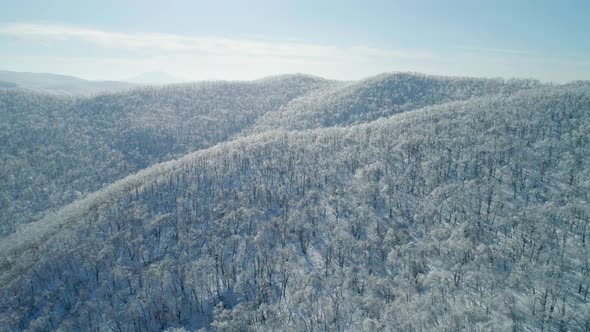 Aerial Winter Mountain Landscape of a Frozen Forest with Snow and Ice Covered Trees on a Sunny alt