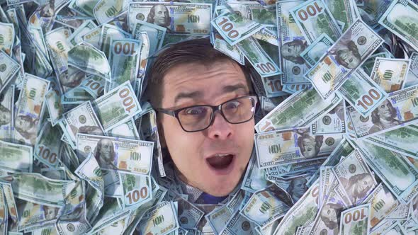 the Happy Face of a Businessman in Banknotes Smiles and Looks at the Camera alt