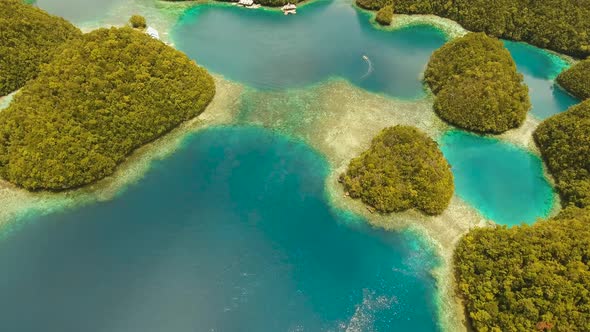 Seascape with Lagoons and Islands alt