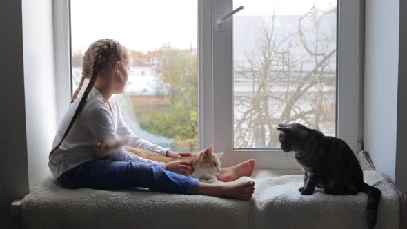 The Child Plays with Cats Sitting By the Window
