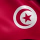 Tunisia Flag - VideoHive Item for Sale