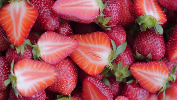 Harvest Of Ripe Red Strawberries Rotation Closeup Vertical Shot alt