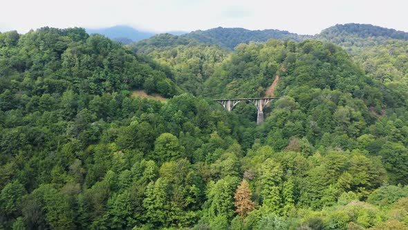 Old Miners' Railway Bridge in the Mountains and Forests