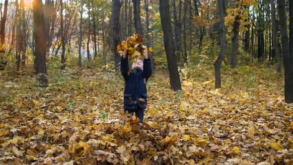 A little boy throws yellow leaves in an autumn Park. The concept of a happy childhood.