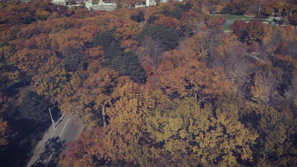 High Park Graded Denoised alt