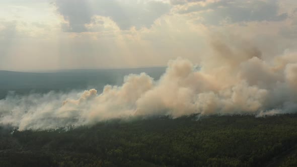 Big Clouds of Smoke Over Burning Forest Aerial Wildfire in Dry Season alt