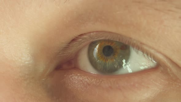 Gray-green eye of a young man, close-up