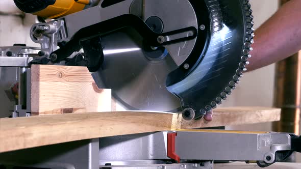 Closeup of Stationary Circular Saw is Sawing a Wood on Joinery Factory