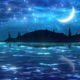 Starry Sky Over Ocean Landscape - VideoHive Item for Sale