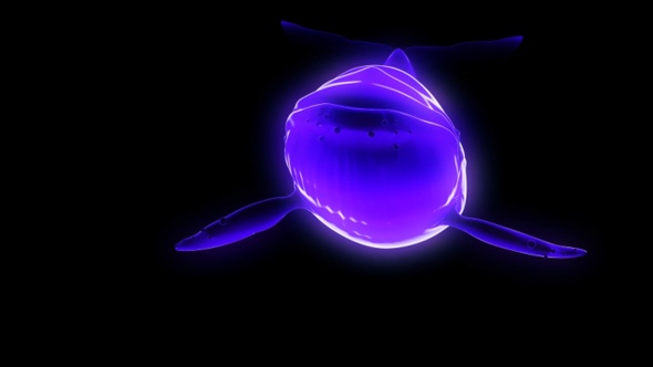 glow whale3