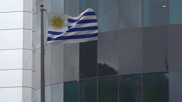 Uruguay Flag Background 4K alt