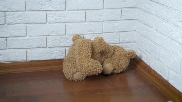 Dropped toy on the floor.  alt