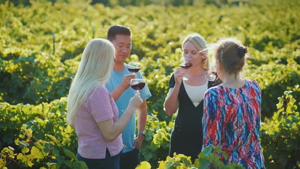 Multi-ethnic Group of Tourists Tasting Wine in the Vineyard alt