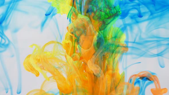 Liquid Abstractions the Dissolution of Blue Yellow Red and Green Paint in Water alt