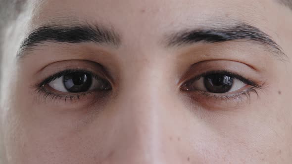 Extreme Close Up Male Face Young Arab Hispanic Man Handsome Model Guy with Expressive Brown Eyes alt