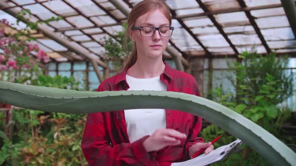 Portrait of a Young Worker of a Greenhouse in Which Flowers and Plants are Grown the Girl Inspector