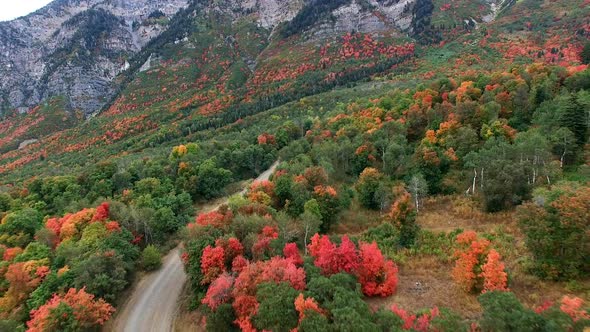 Aerial view of Fall color on landscape of foliage. alt
