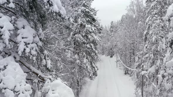 Lovely Aerial Shot of a Snowy Road and the Forest Around It alt