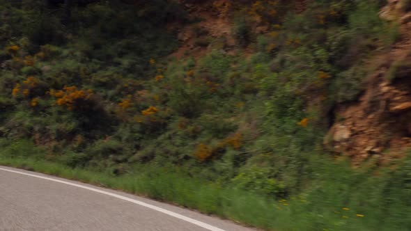 Timelapse Shot Driving Car in Windy Countryside Road alt