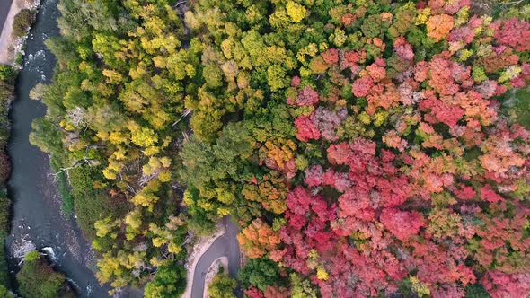 Aerial view looking down at Provo River and colorful Fall leaves alt