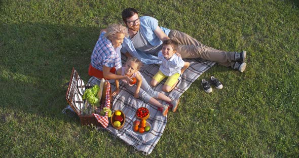 Family Picnic on Summer Day alt