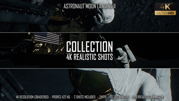 Astronaut Moon Landing II