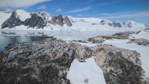 Snow Rock with Penguins. Antarctica Aerial Shot. alt