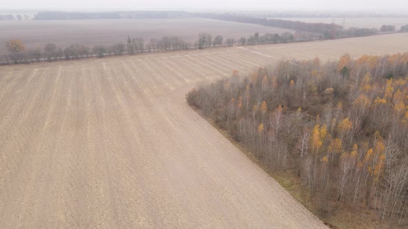 Empty Plowed Field in Autumn Aerial View alt