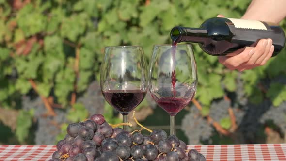 Woman's hand pouring red wine in glass at slow motion in vineyards alt