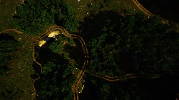 Aerial View of the Road Through the Forest alt