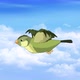 Small green bird flying in the sky 4K - VideoHive Item for Sale