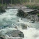 Mountain River with Low Rapids Flows Inside Mysterious Forest - VideoHive Item for Sale