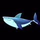 Shark Swim - VideoHive Item for Sale