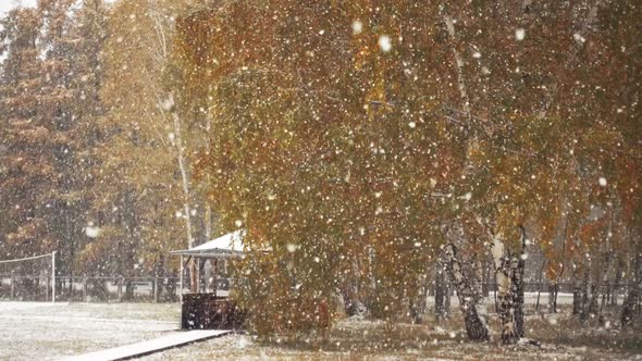 First Autumn Snowfall. alt