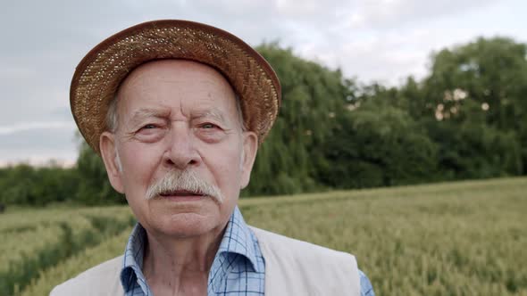 Portrait of Thoughtful Senior Man Looking at Sky and Into Camera in Wheat Field alt