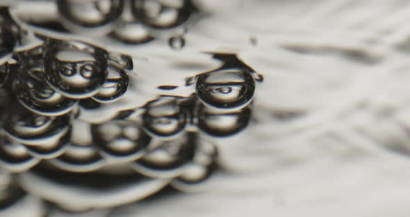 Bubbles Rising to the Surface of Water alt